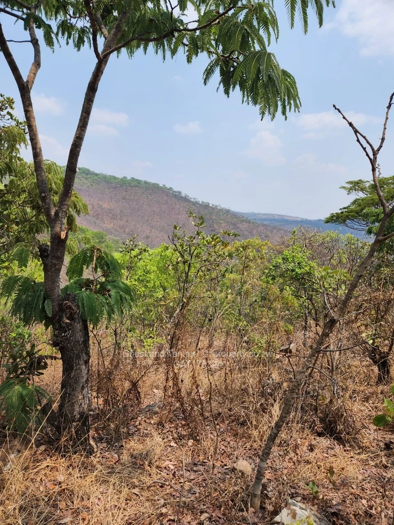 Stands & Residential Land for Sale in Christon Bank GAT175324