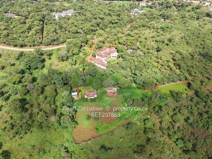 Exclusive 4000 sqm Panhandle Stand #2 for Sale in Shawasha