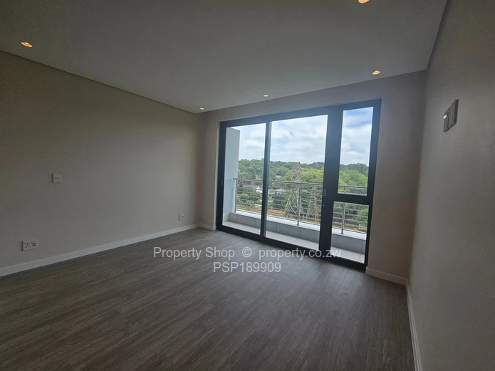 Brand new world class luxurious penthouse in Sandton. 