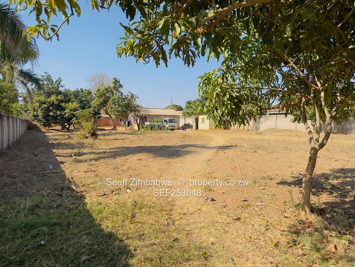Generous Size Stand with 2-Bed Cottage, Zimre Park