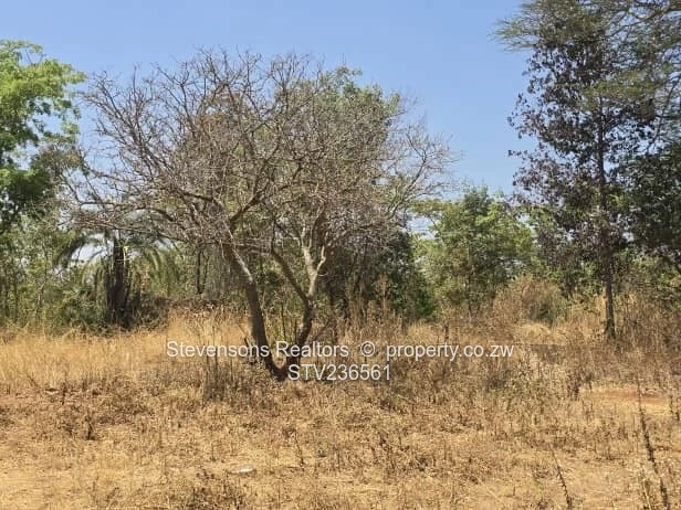 Massive development land for sale along Crowhill Road 