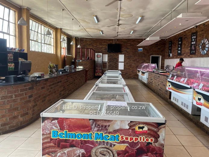 Business and Executive