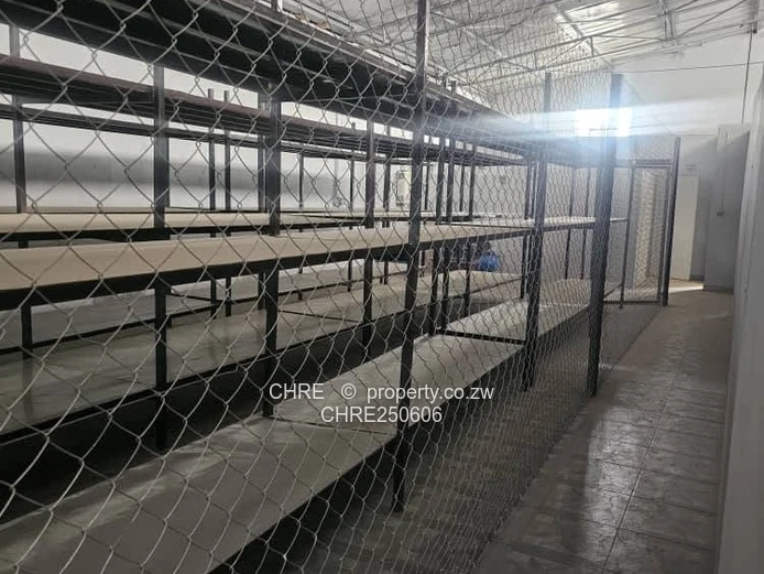 Warehouse To Rent Msasa