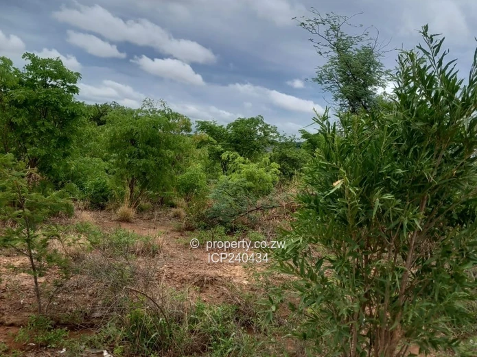 Sabonabona Kadoma 2700sqm for USD 30 000