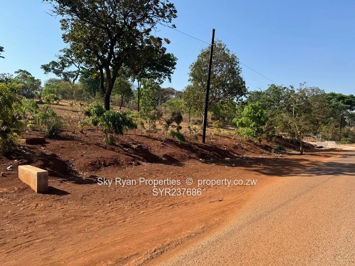 Shawasha Hills Estate Stands For Sale