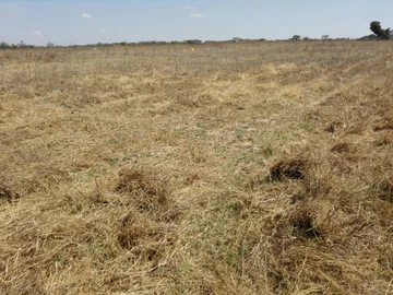 Farm & Agricultural Land