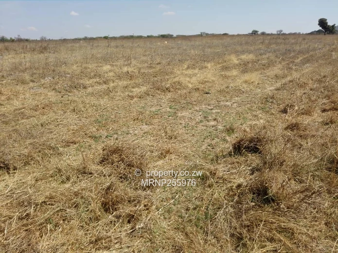 Macheke Plot for sale