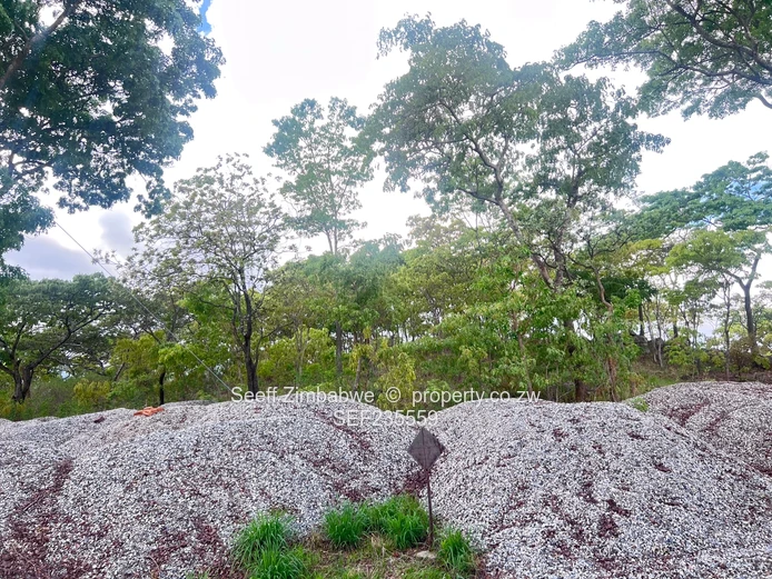 Prime land in Folyjon Crescent. Perfect location (Sole Mandate)