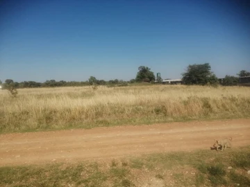 Farm & Agricultural Land