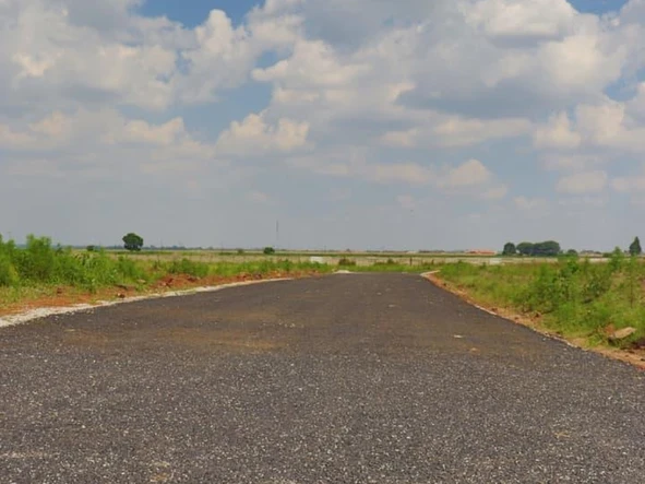 Stands & Residential Land