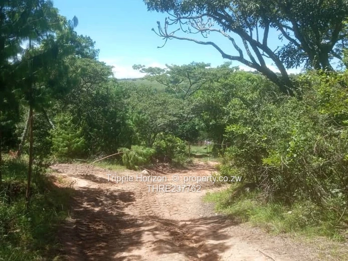 Farm for sale in Nyanga