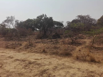 Farm & Agricultural Land