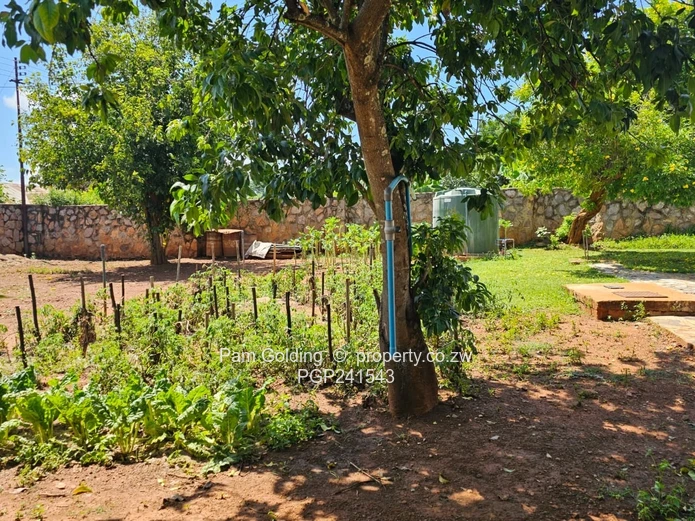 Neat Family Residence