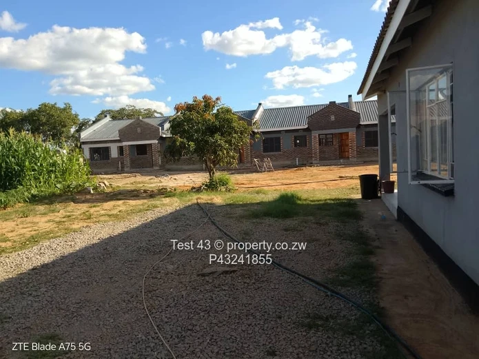 Rental house in Chi town