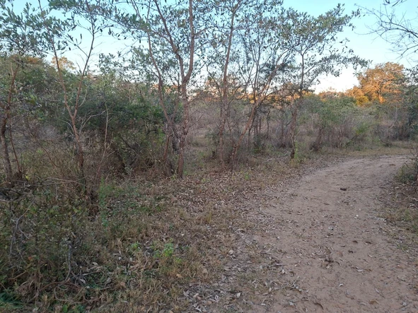 Farm & Agricultural Land