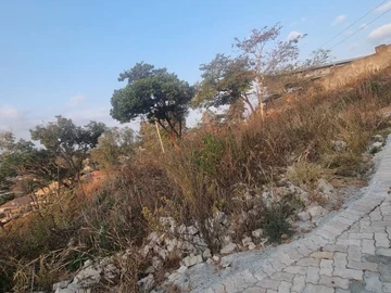 Land