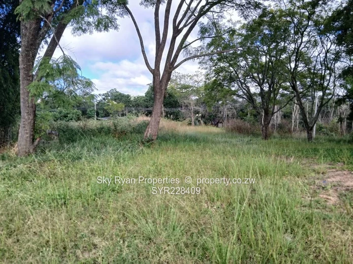 Umwinsidale Land For Sale