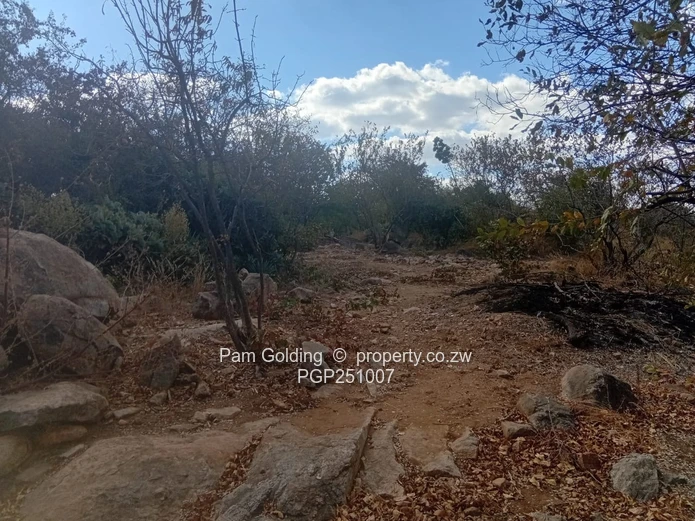 Main Residence And Cottage In Beitbridge