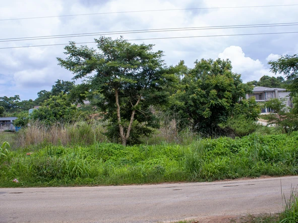 Stands & Residential Land