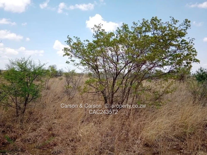 Mvuma Plot for sale ready for agricultural production 