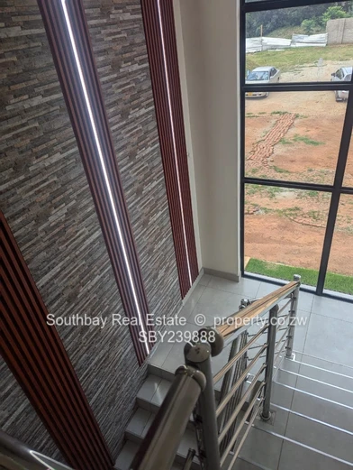 Investment Opportunity