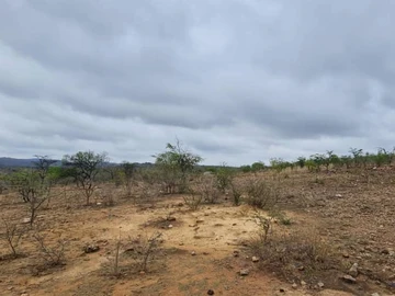 Farm & Agricultural Land