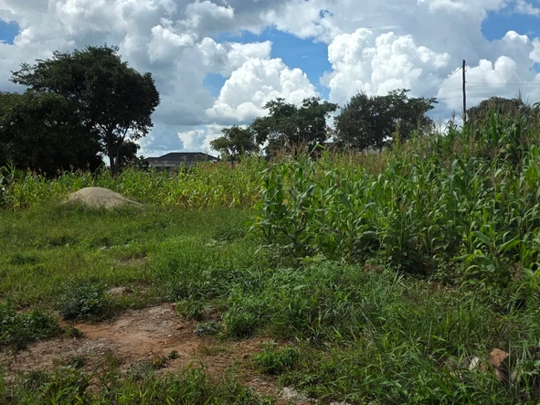 Stands & Residential Land