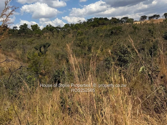 Christon Bank Land  For Sale
