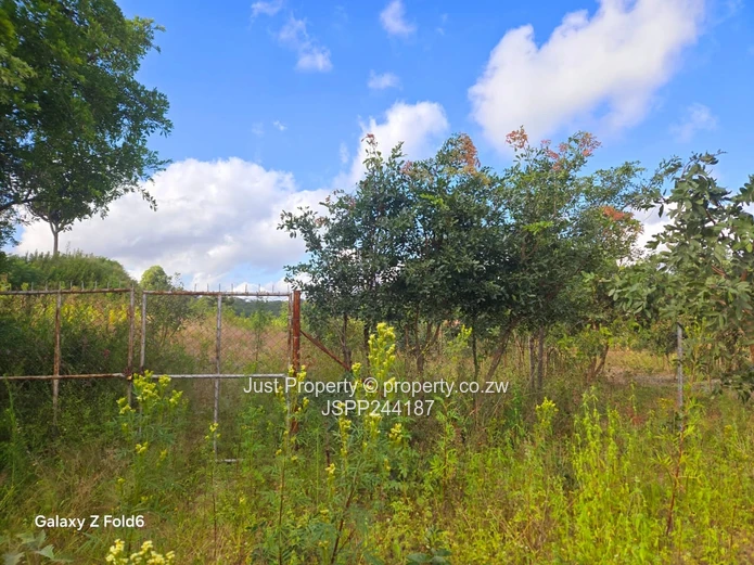 Fenced 2300 m² Stand in Marondera — Gravel Road Access (Sole Mandate)