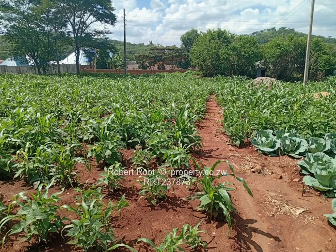 Residential Corner Stand For Sale In Glen Lorne