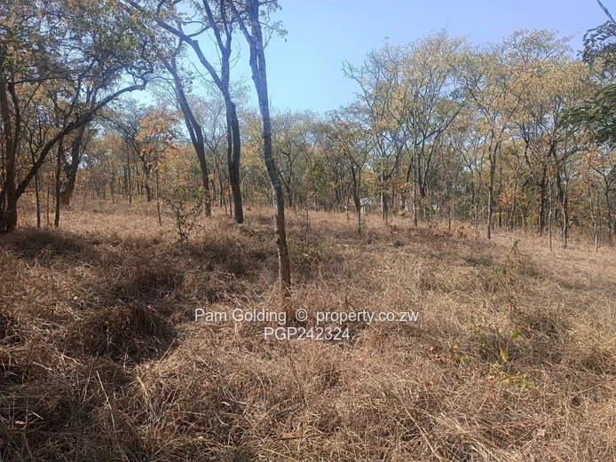 Prime Holiday Resort Stand for Sale – Juliasdale, Nyanga 