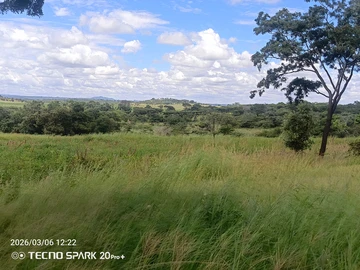 Farm & Agricultural Land