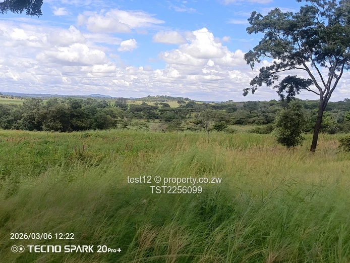 Chemagora Farm Sale