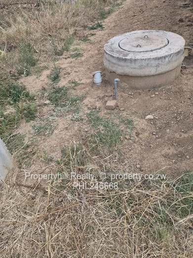 New Marimba Park (Sole Mandate)
