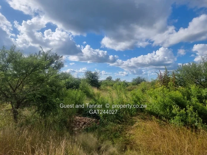 4000m² Willsgrove Stand — Spacious, Green & Ready