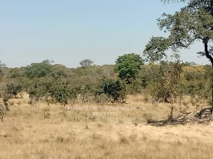 Chegutu Plots For Sale X4