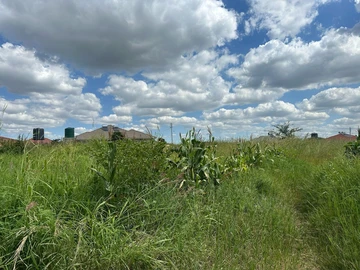 Stands & Residential Land