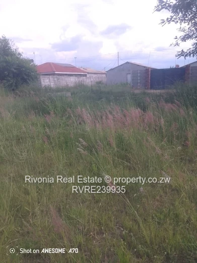 Budiriro Cabs 300Sqm Stand