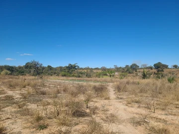 Farm & Agricultural Land