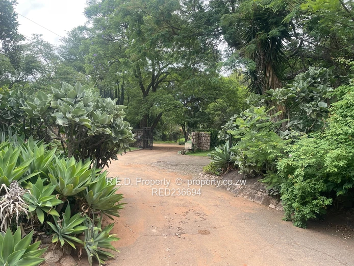 Character-filled Split-level Living In Burnside!