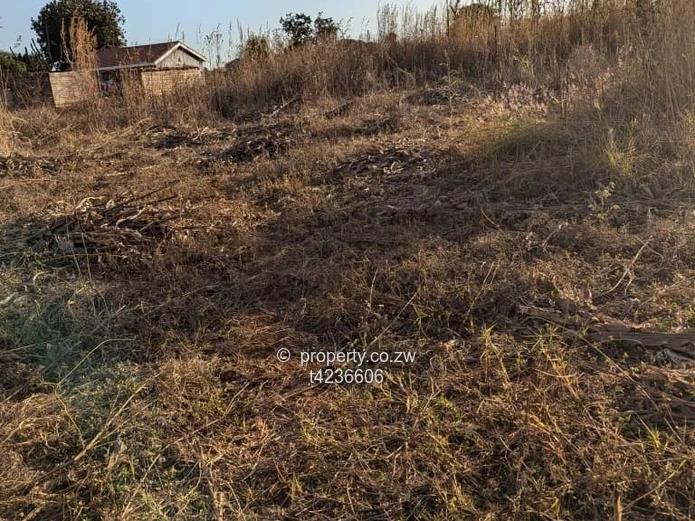 Norton knowe stand for sale