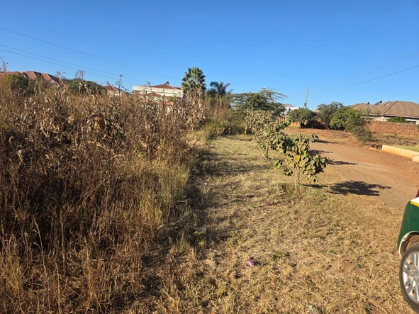 Stands & Residential Land