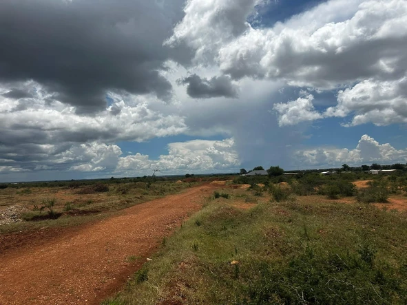 Land