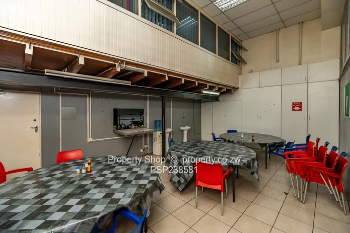 Prime High Visibility Showroom