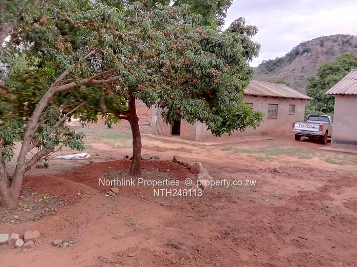 Nyanga Town