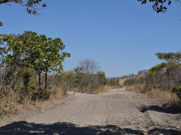 Farm & Agricultural Land
