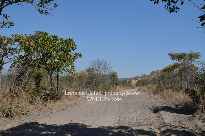 1ha Goromonzi Farm — Arable Field by Gravel Main Road