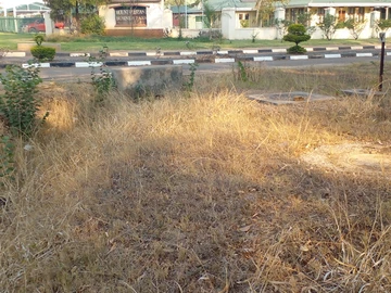 Commercial & Industrial Land