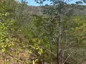 Commercial & Industrial Land