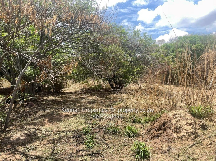 Hatfield 7600 s/mtrs property for sale (Sole Mandate)